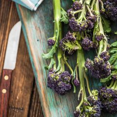 Broccoli Early Purple Sprouting BIO