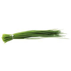 Bieslook - Allium schoenoprasum (pootgoed)