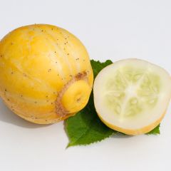 Komkommer True Lemon