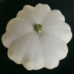 Witte patisson
