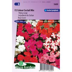 Impatiens walleriana F2 Colour Cocktail (zaad) - Vlijtig liesje