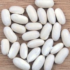 Stamdroogboon Flageolet Wit van Vlaanderen