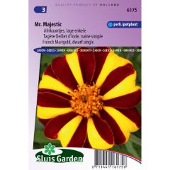 Afrikaantje - Tagetes patula Mr Majestic (zaad)