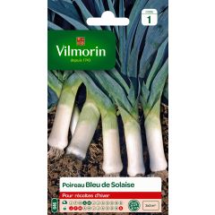 Prei Blauwe van Solaise - Vilmorin