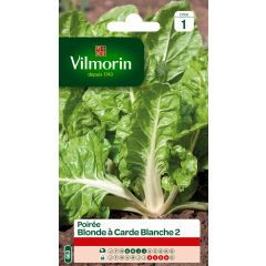 Snijbiet Blonde met Witte Bladstelen Vilmorin