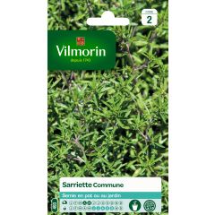 Bonenkruid Vilmorin - Satureja hortensis