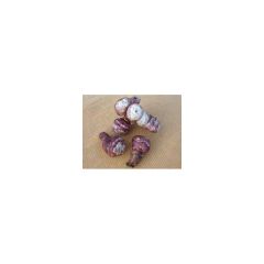 Aardpeer Violets (jonge planten)