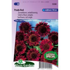 Zonnebloem Prado Red (zaad) - Helianthus annuus