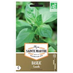 Kaneelbasilicum BIO - Ferme de Sainte Marthe
