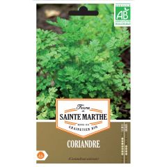 Koriander BIO Ferme de Sainte Marthe - Coriandrum sativum