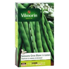Stokdroogboon Soissons grote witte - Vilmorin