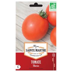 Tomaat Siberian BIO - Ferme de Sainte Marthe