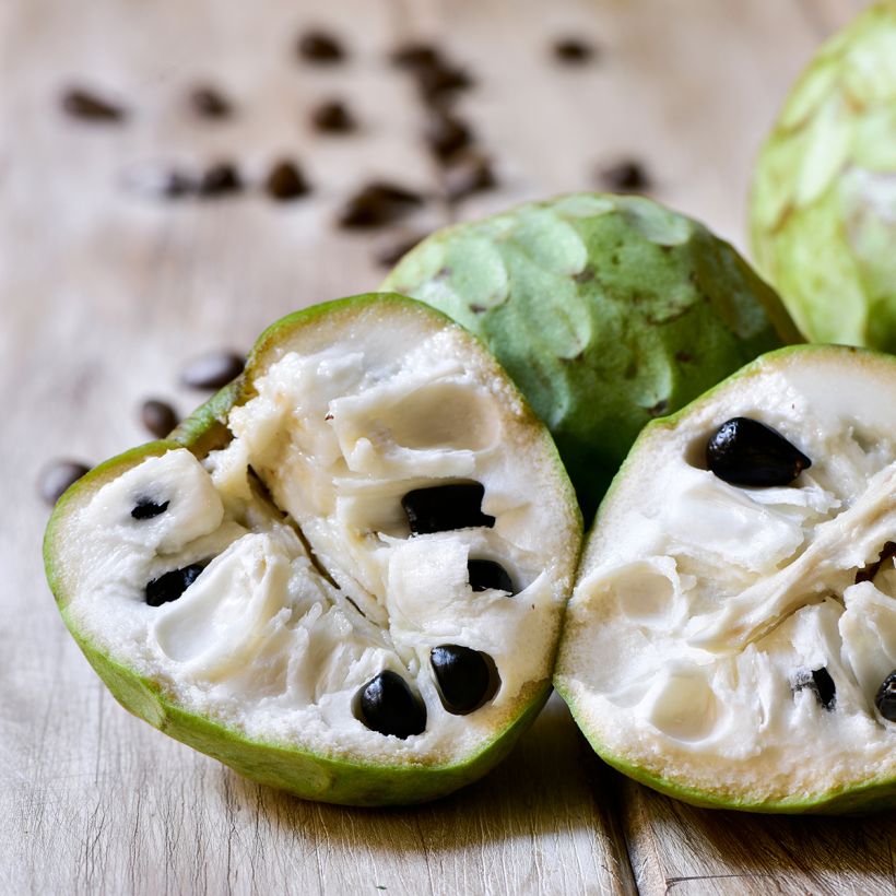 Cherimoya - Annona cherimola (Oogst)