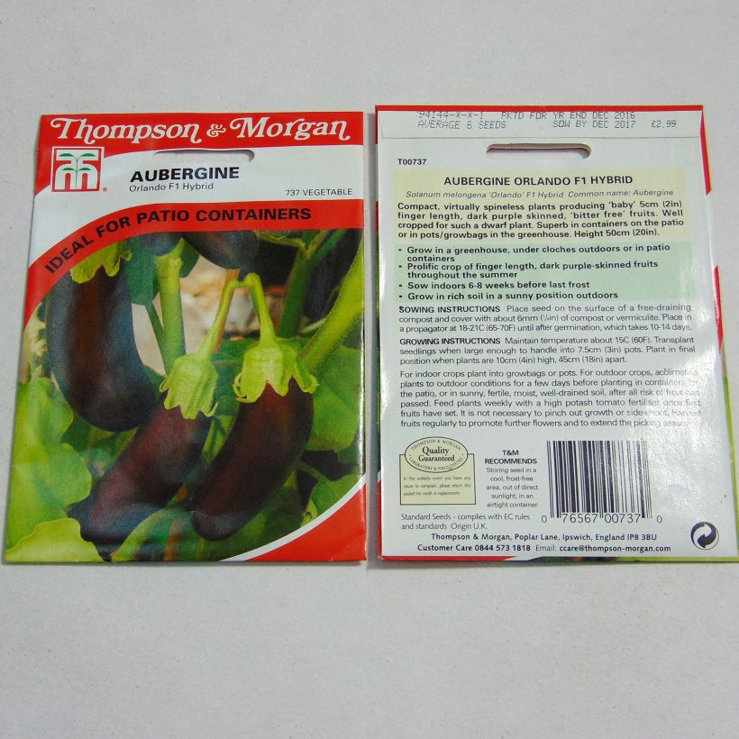 Voorbeeld van een exemplaar van Aubergine Orlando het zakje met 6 zaden zoals geleverd