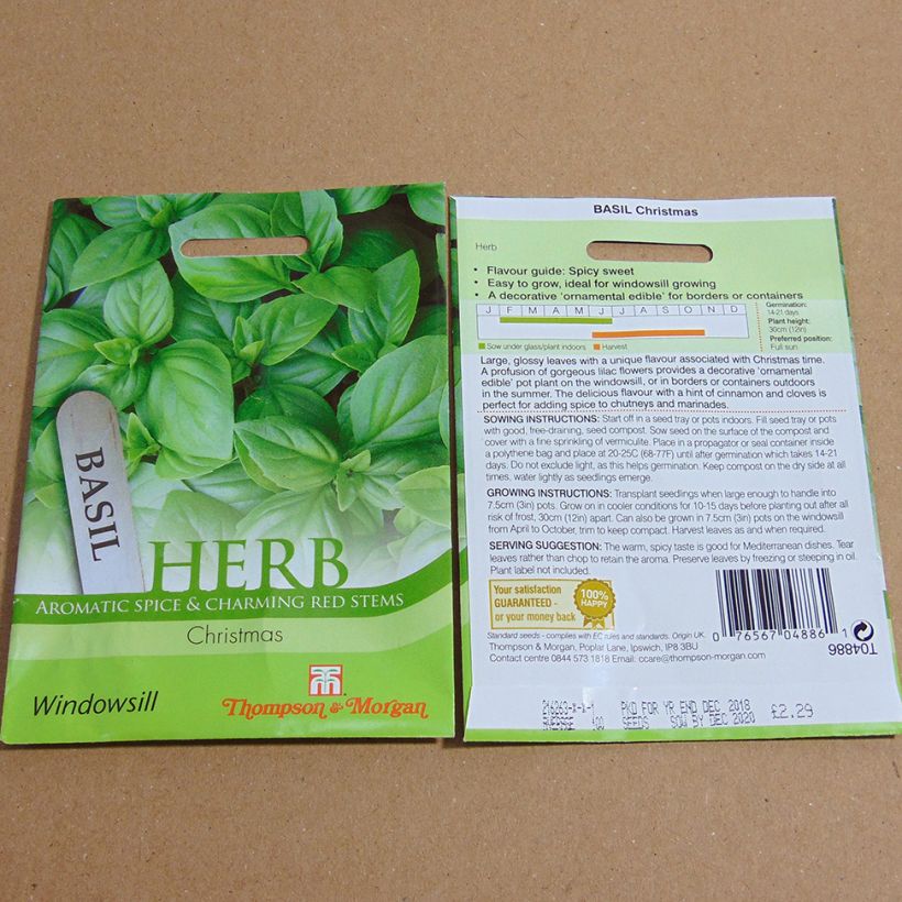 Voorbeeld van een exemplaar van Basilicum Christmas het zakje met 150 zaden zoals geleverd