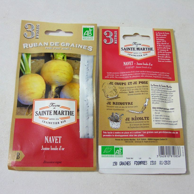 Voorbeeld van een exemplaar van Knolraap Gouden bol BIO - Ferme de Sainte Marthe (zaailint) Zaden op lint zoals geleverd