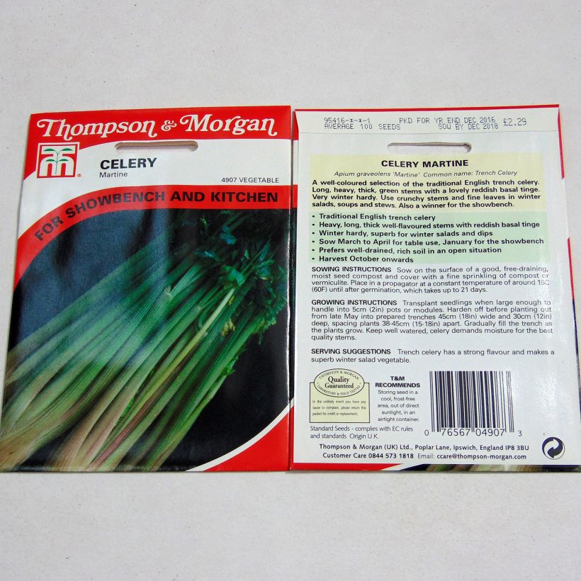 Voorbeeld van een exemplaar van Knolselderij Martine het zakje met 100 zaden zoals geleverd