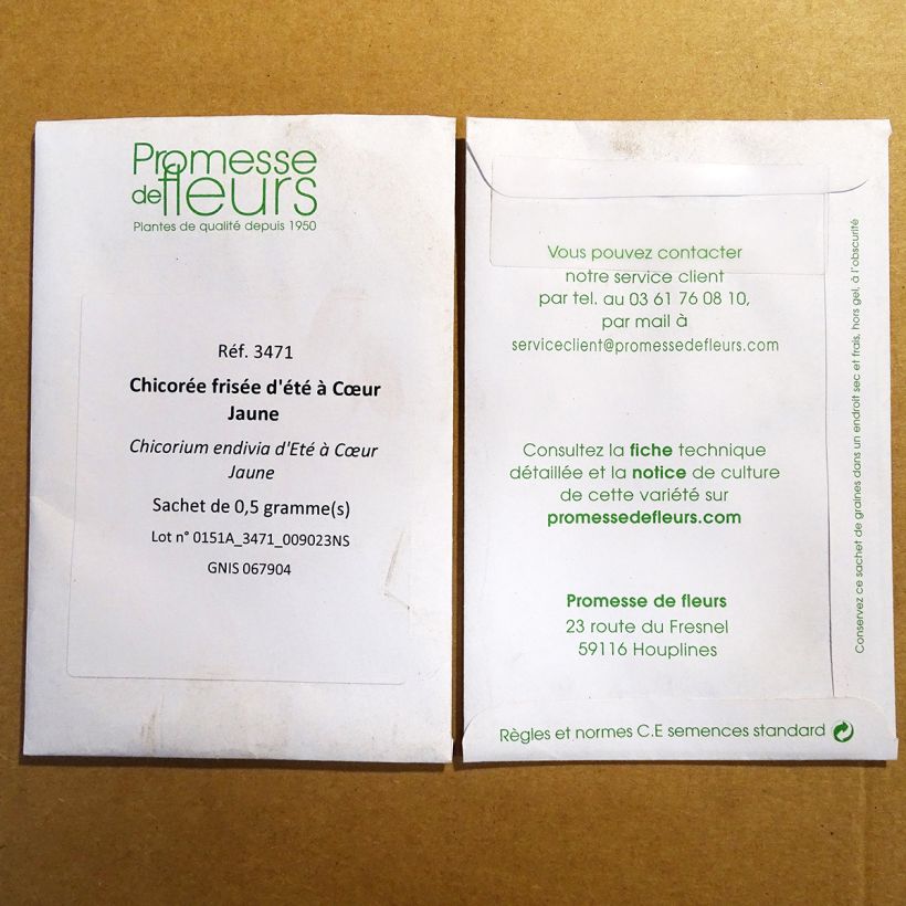 Voorbeeld van een exemplaar van Zomer krulandijvie met geel hart het zakje met 300 zaden (0.5g) zoals geleverd