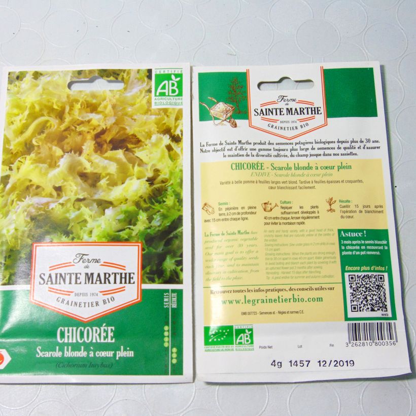 Voorbeeld van een exemplaar van Andijvie Blonde à Coeur Plein (Gele Volhart) BIO - Ferme de Sainte Marthe het zakje met 2500 zaden (4g) zoals geleverd