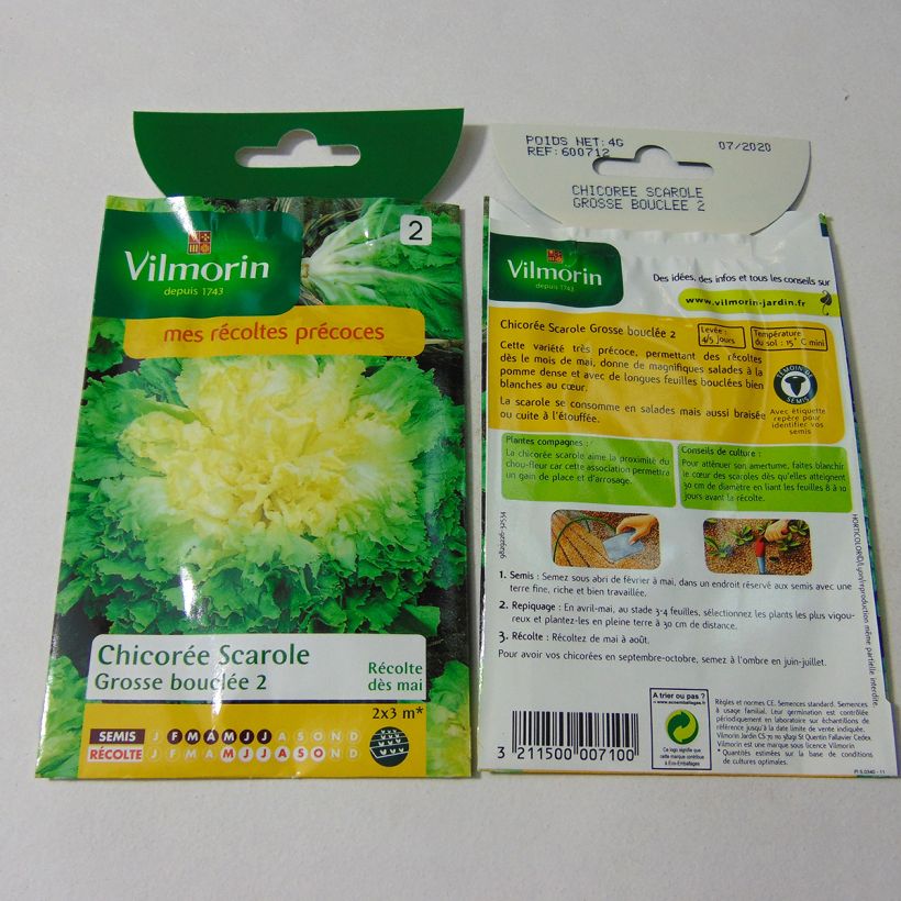 Voorbeeld van een exemplaar van Andijvie Breedblad Grosse Bouclée 2 - Vilmorin het zakje met 2400 zaden (4g) zoals geleverd