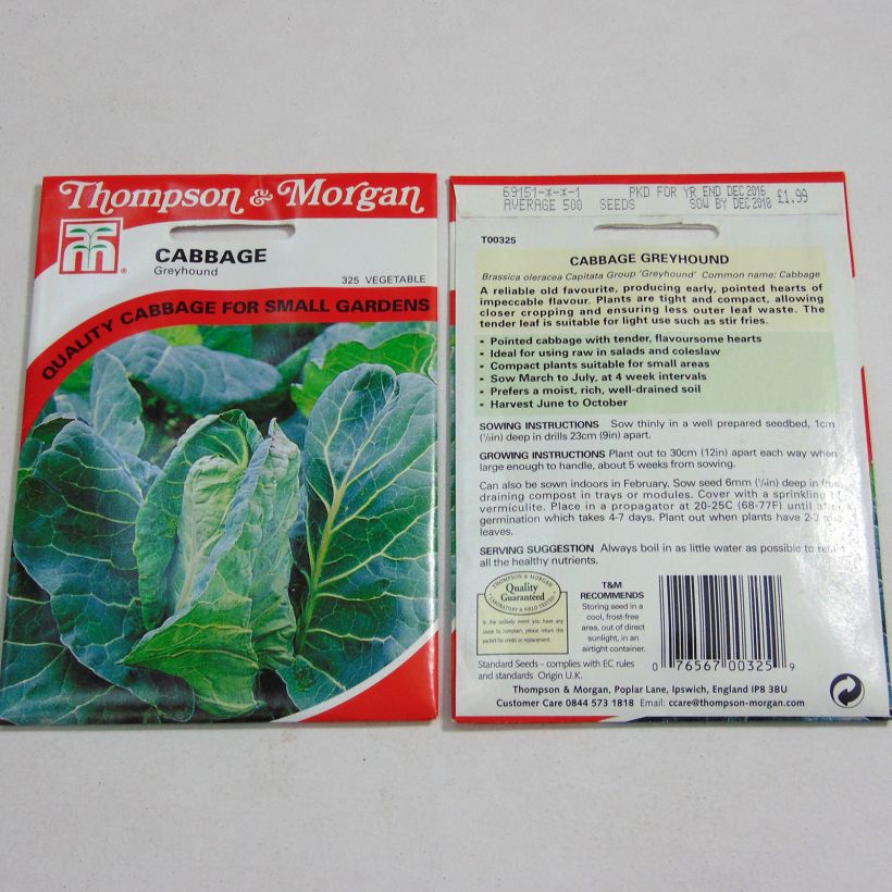 Voorbeeld van een exemplaar van Spitskool Greyhound het zakje met 500 zaden zoals geleverd