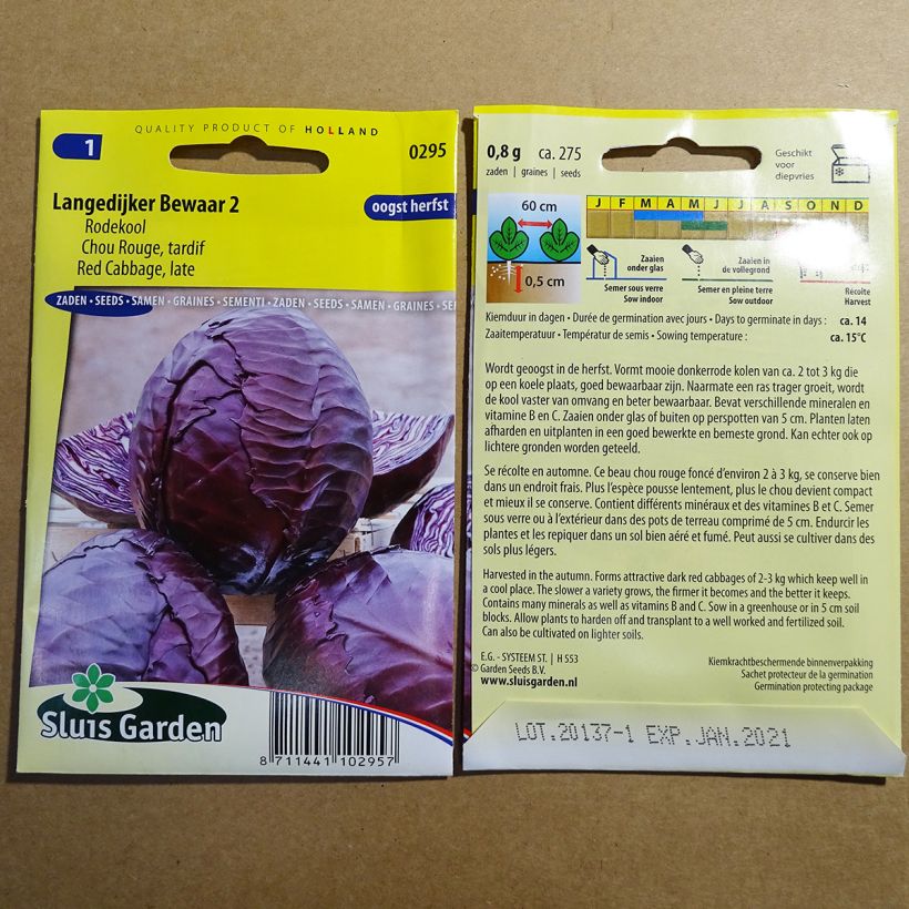 Voorbeeld van een exemplaar van Rodekool Langedijker Bewaar 2 het zakje met 275 zaden zoals geleverd