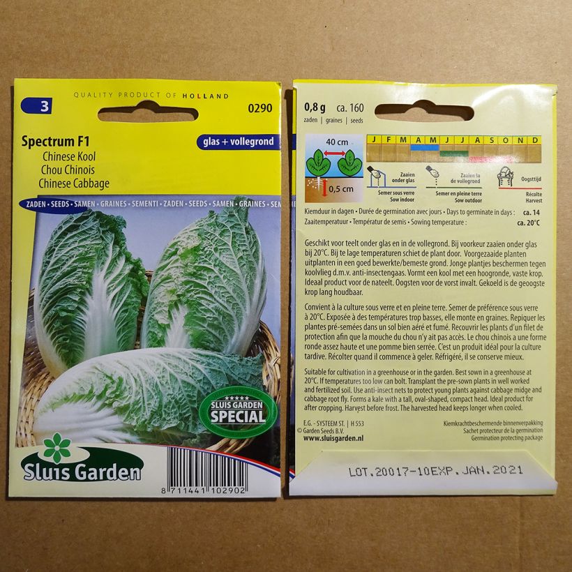 Voorbeeld van een exemplaar van Chinese kool Spectrum F1 het zakje met 160 zaden zoals geleverd