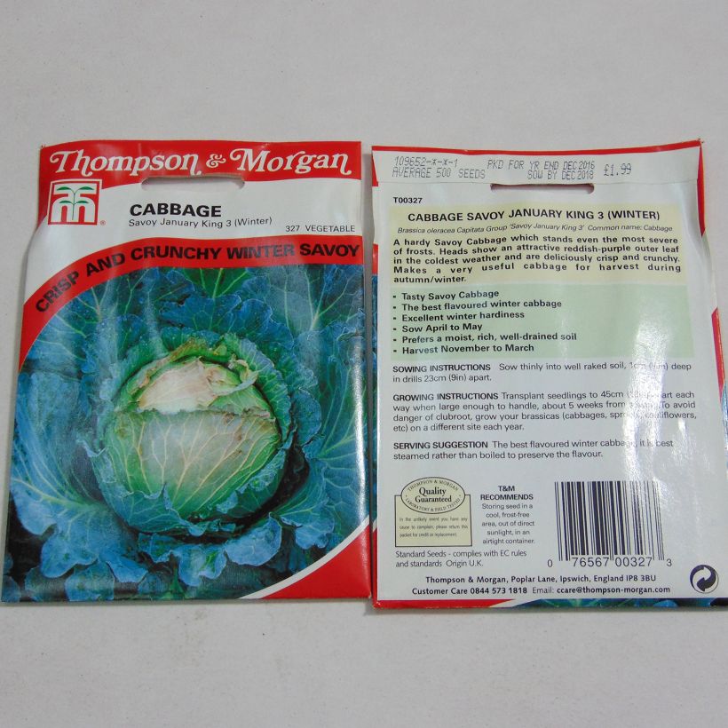 Voorbeeld van een exemplaar van Savooiekool January King 3 het zakje met 500 zaden zoals geleverd