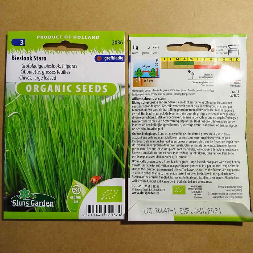 Voorbeeld van een exemplaar van Bieslook Staro BIO - Allium schoenoprasum het zakje met 750 zaden (1g) zoals geleverd