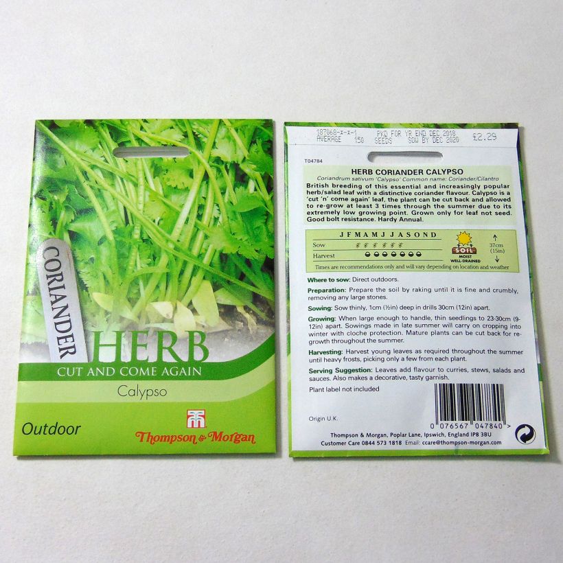 Voorbeeld van een exemplaar van Koriander Calypso - Coriandrum sativum het zakje met 150 zaden zoals geleverd