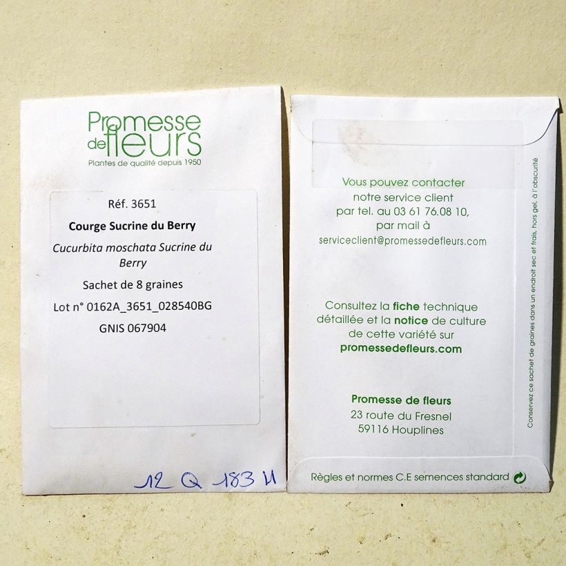 Voorbeeld van een exemplaar van Muskuspompoen Sucrine du Berry het zakje met 8 zaden zoals geleverd