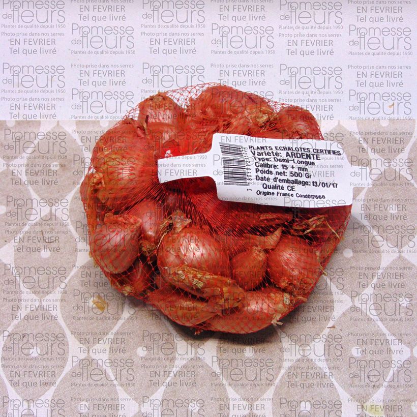 Voorbeeld van een exemplaar van Sjalot Ardente Stuk kaliber 35/+ mm zoals geleverd