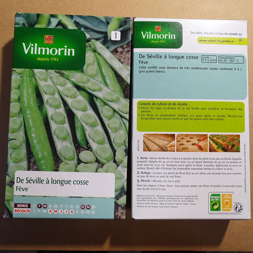 Voorbeeld van een exemplaar van Tuinboon Sevilla - Vilmorin het zakje met 125 zaden (250g) zoals geleverd