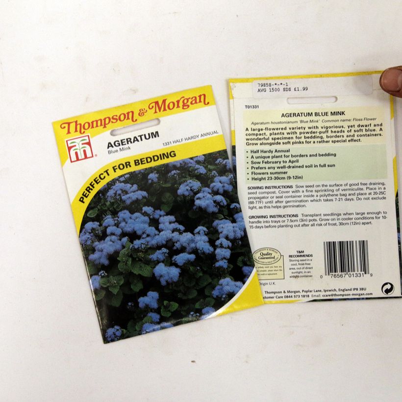Voorbeeld van een exemplaar van Mexicaantje Blue Mink T&M (zaad) - Ageratum houstonianum het zakje met 1500 zaden zoals geleverd