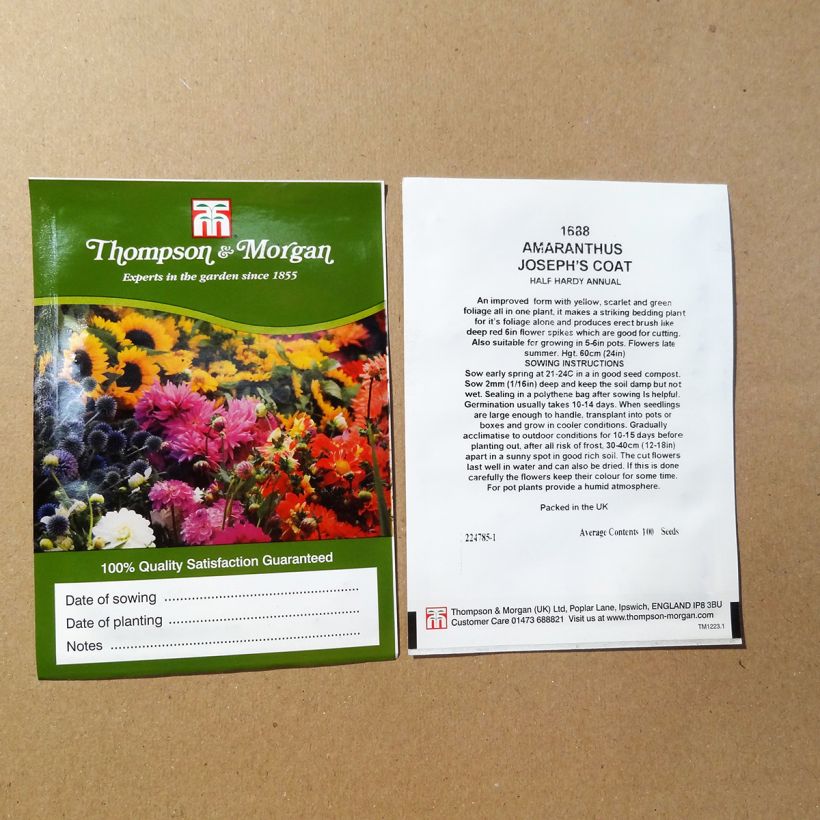 Voorbeeld van een exemplaar van Amaranthus Josephs Coat (zaad) - Rode klaroen het zakje met 100 zaden zoals geleverd