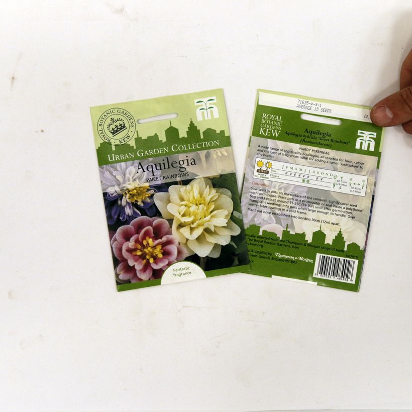 Voorbeeld van een exemplaar van Akelei Sweet Rainbows (zaad) - Aquilegia het zakje met 20 zaden zoals geleverd