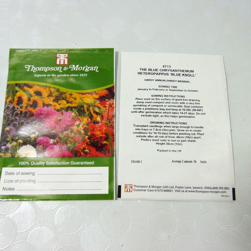 Voorbeeld van een exemplaar van Heteropappus meyendorffii Blue Knoll (zaad) het zakje met 50 zaden zoals geleverd