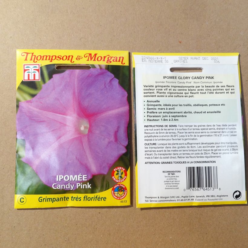 Voorbeeld van een exemplaar van Ipomoea purpurea Candy Pink (zaad) - Klimmende winde het zakje zaden van 1.5 gram zoals geleverd