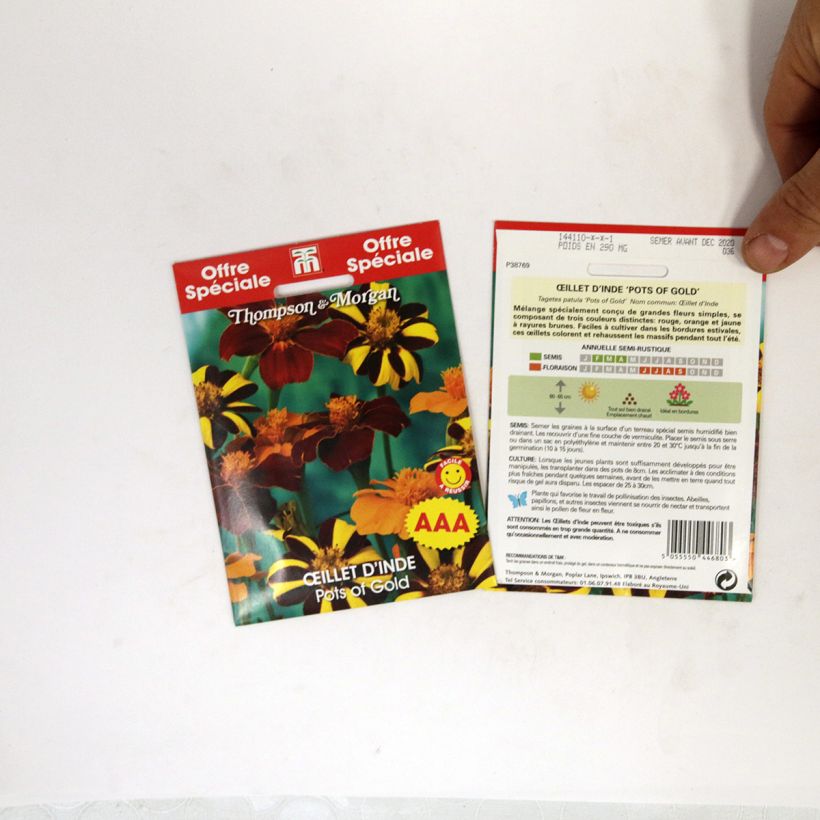 Voorbeeld van een exemplaar van Afrikaantje - Tagetes patula Pots of Gold (zaad) het zakje met 50 zaden zoals geleverd