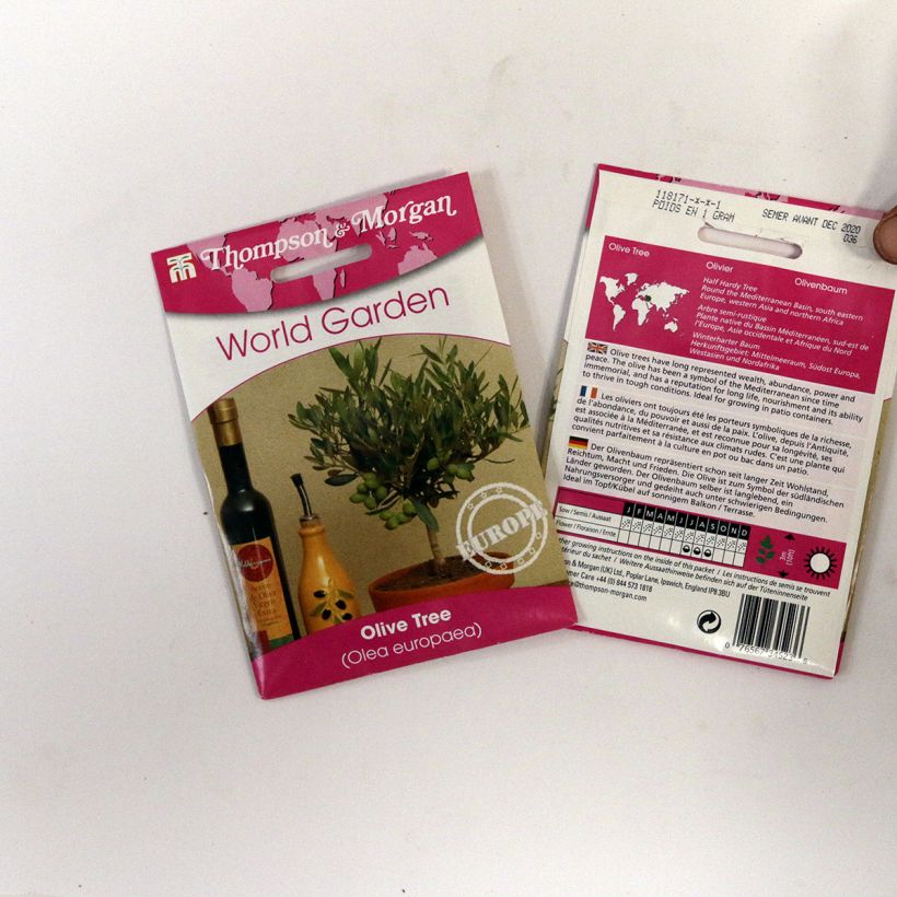 Voorbeeld van een exemplaar van Olea europaea (zaad) - Olijfboom het zakje met 25 zaden zoals geleverd