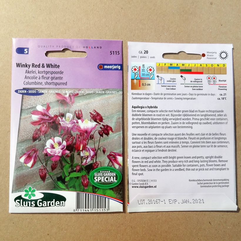 Example of Akelei Winky Red & White (zaad) - Aquilegia per pack of 20 seeds as you get