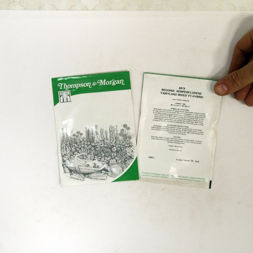 Voorbeeld van een exemplaar van Begonia semperflorens Fairyland Mixed (zaad) - Begonia het zakje met 100 zaden zoals geleverd