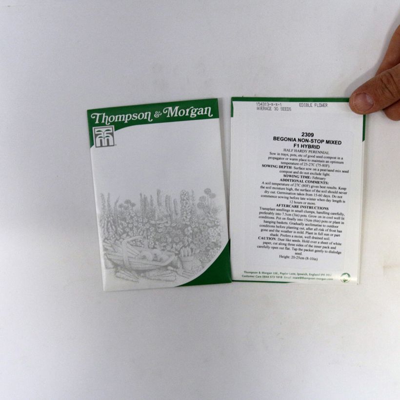 Example of Graines de Bégonia tubéreux Non-Stop Mixed F1 - Begonia x tuberhybrida per pack of 40 seeds as you get