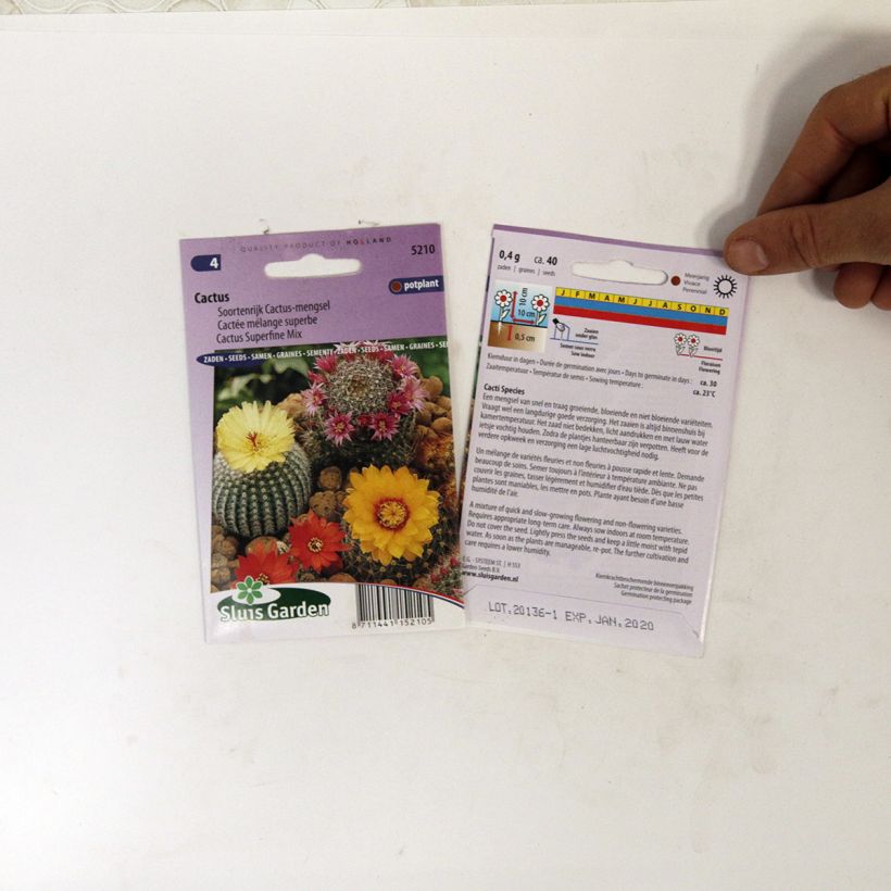 Example of Graines de Cactées en mélange per pack of 150 seeds (0,1g) as you get