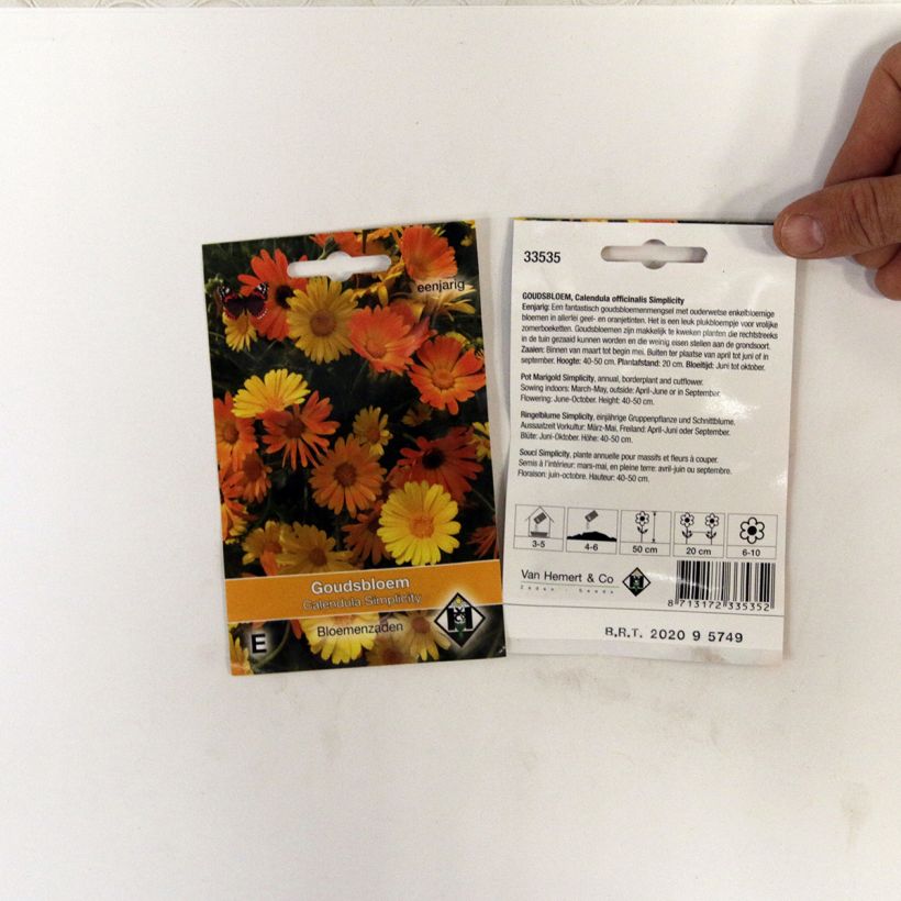 Example of Graines de Calendula officinalis Simplicity - Souci des Jardins per pack of 150 seeds (1g) as you get