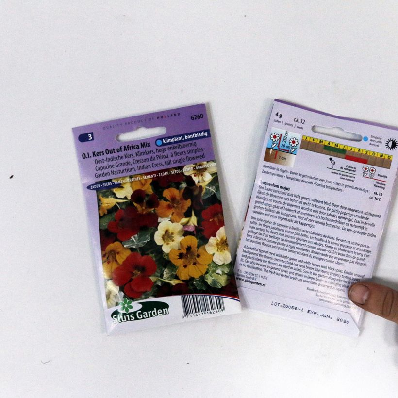 Voorbeeld van een exemplaar van Oost-Indische kers Out Of Africa (zaad) - Tropaeolum majus het zakje met 32 zaden zoals geleverd