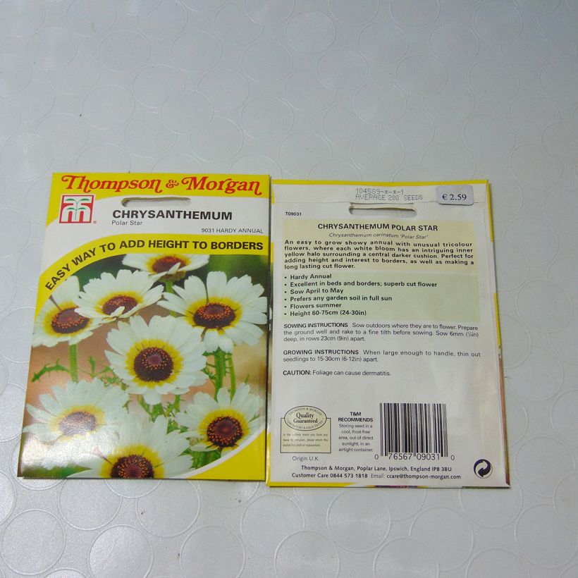 Example of Graines de Chrysanthème à carène Polar Star - Chrysanthemum carinatum per pack of 300 seeds (1g) as you get