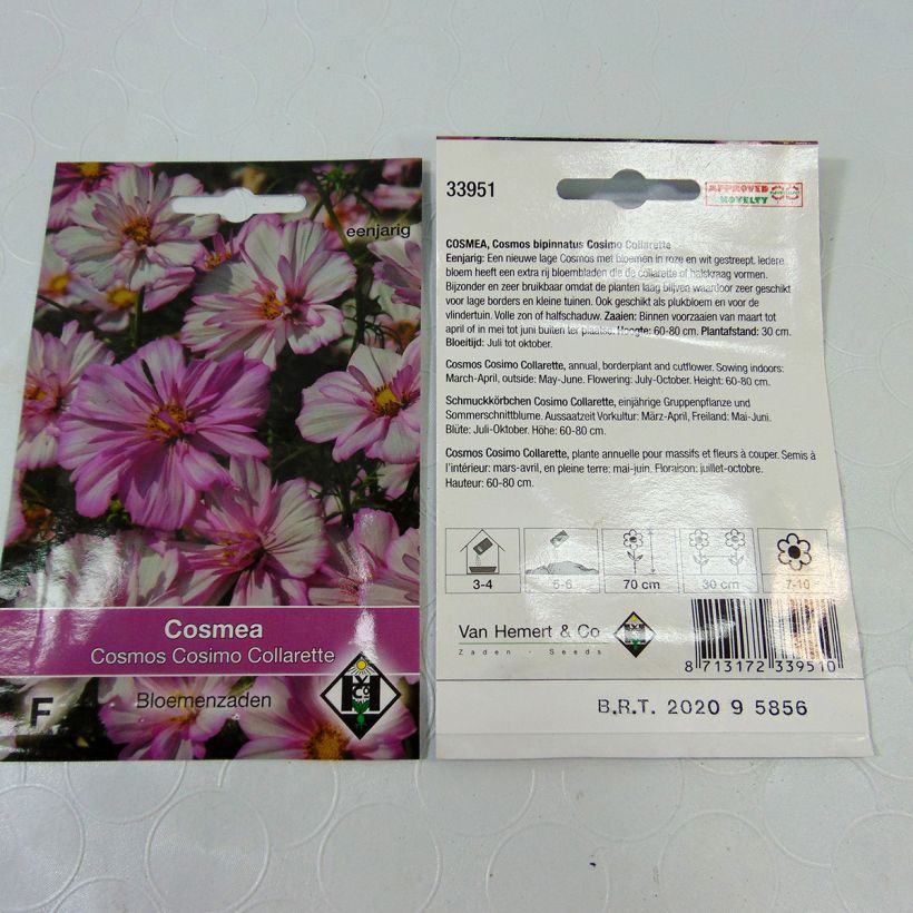 Voorbeeld van een exemplaar van Cosmea Cosimo Collarette (zaad) - Cosmos bipinnatus het zakje met 60 zaden (0.5g) zoals geleverd