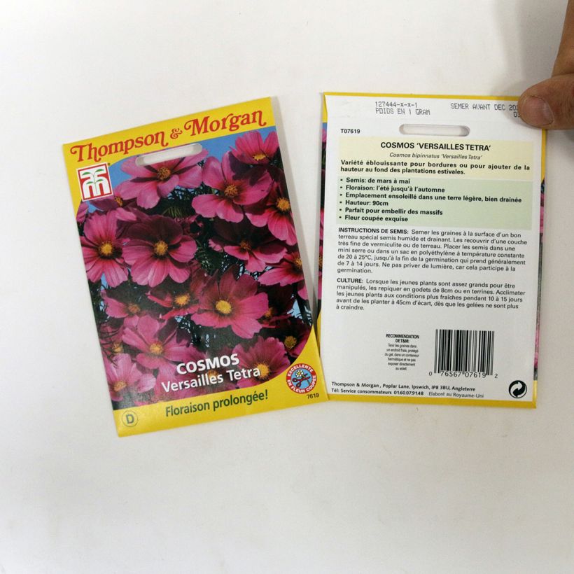 Voorbeeld van een exemplaar van Cosmea Versailles Tetra (zaad) - Cosmos bipinnatus het zakje met 60 zaden zoals geleverd