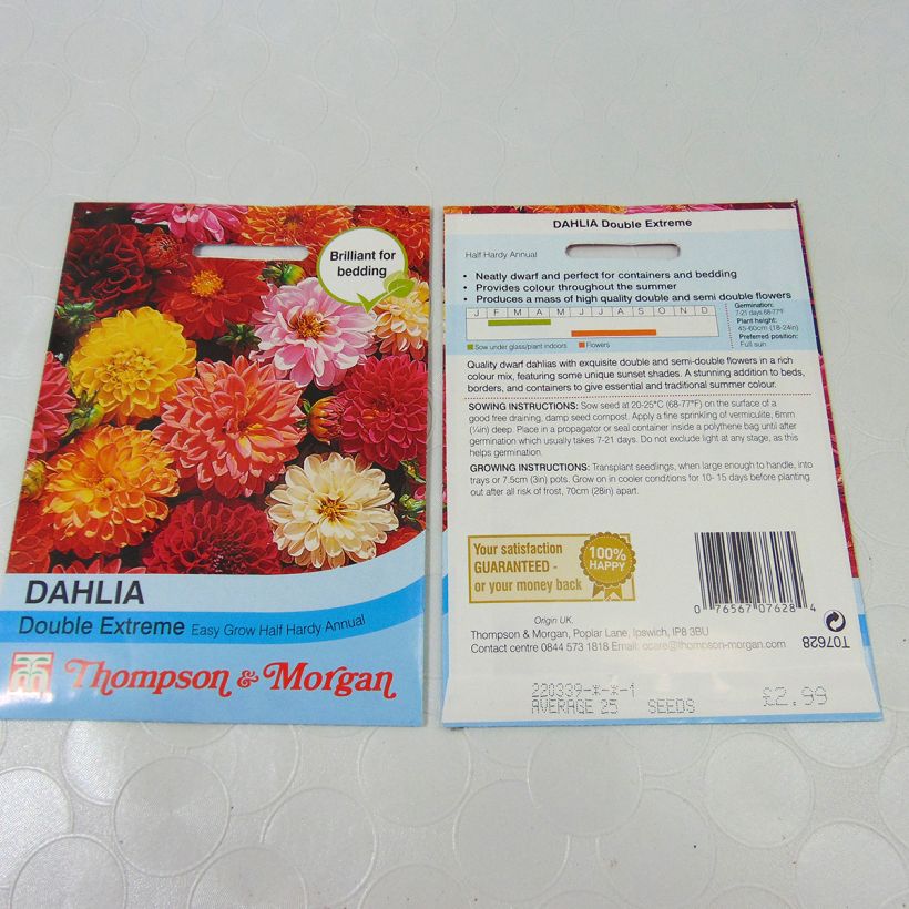 Example of Graines de Dahlia nain Double Extreme en mélange per pack of 50 seeds (0,5g) as you get